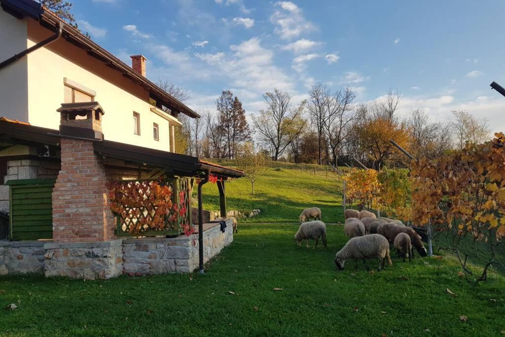 Guest House Pinus Generalski Stol Exterior photo